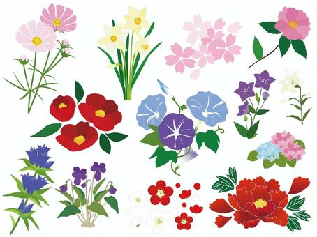 四季の花々 四季の花々 花,四季,挿絵,梅,椿,スミレ,桜,牡丹,紫陽花,桔梗のイラスト素材
